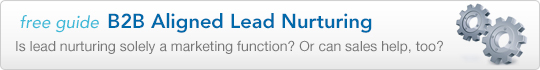 Aligned Lead Nurturing for B2B Sales and Marketing